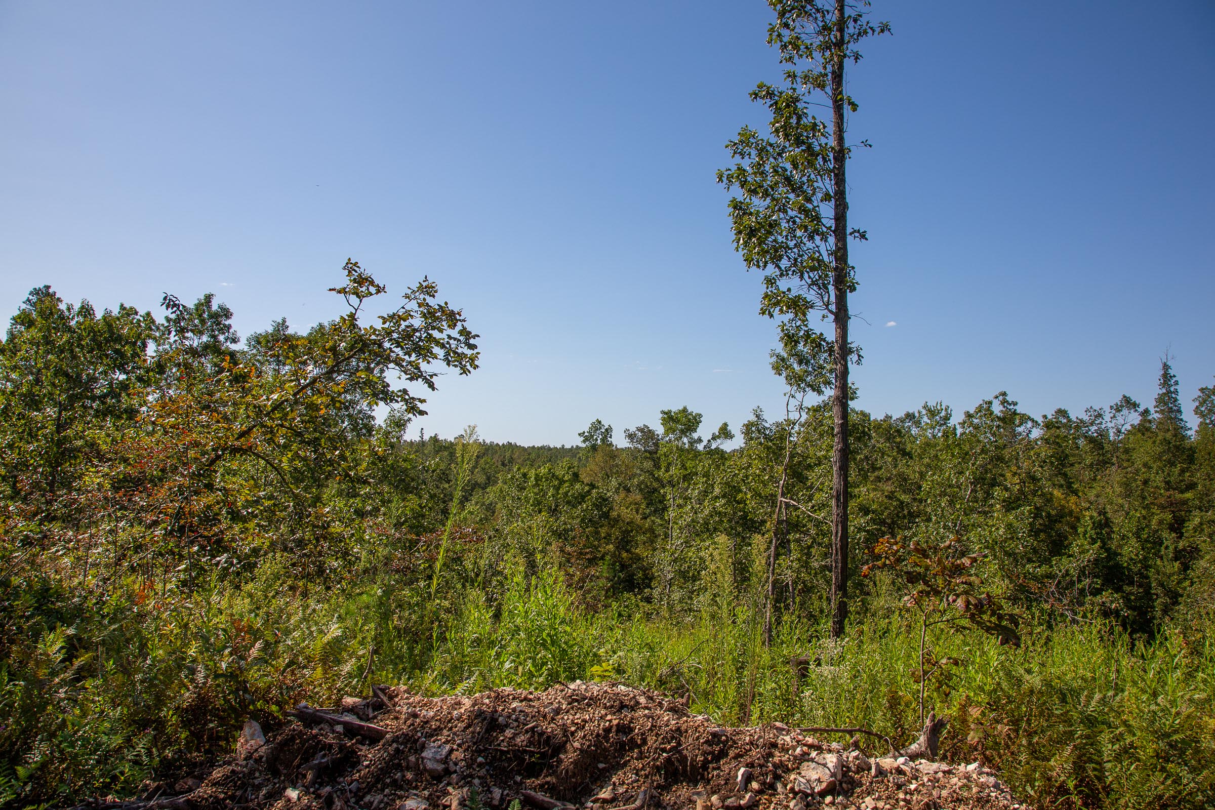 Tract 49 at Borgmanns Hollow Phase II in Shannon County, Missouri
