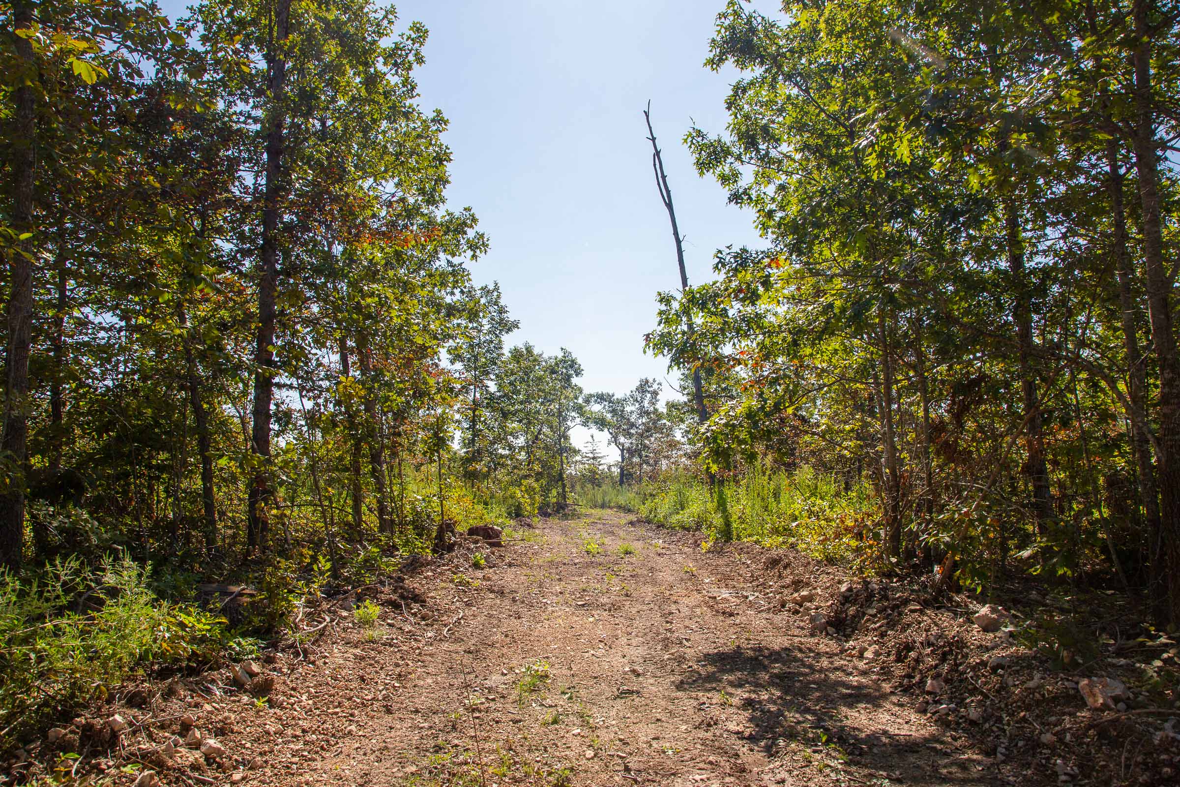 Tract 50 at Borgmanns Hollow Phase II in Shannon County, Missouri