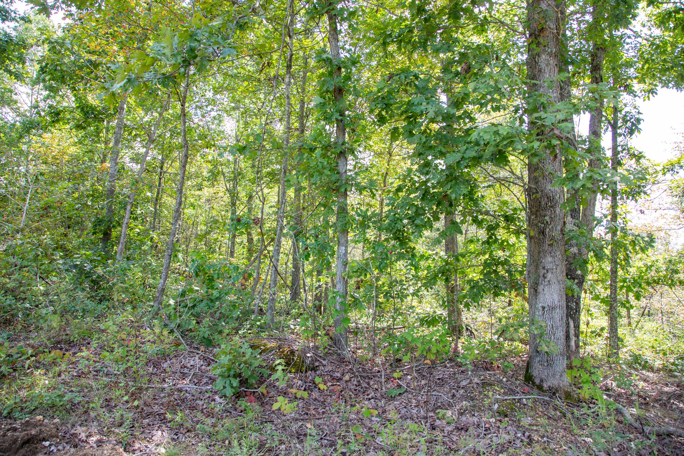 Tract 53 at Borgmanns Hollow Phase II in Shannon County, Missouri