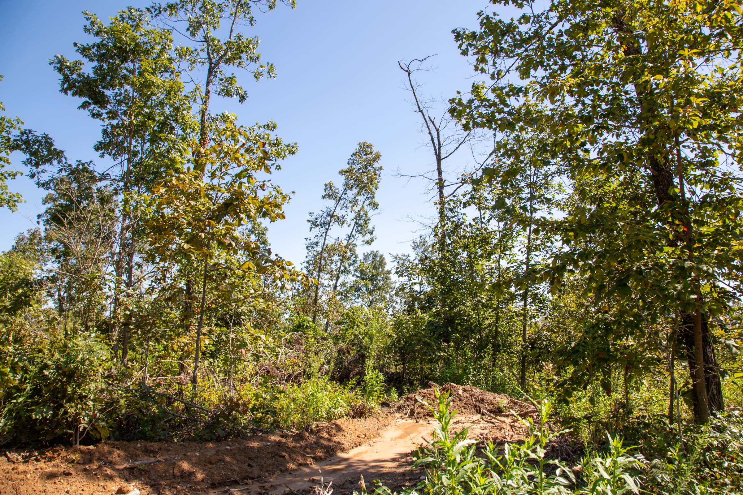Tract 55 at Borgmanns Hollow Phase II in Shannon County, Missouri