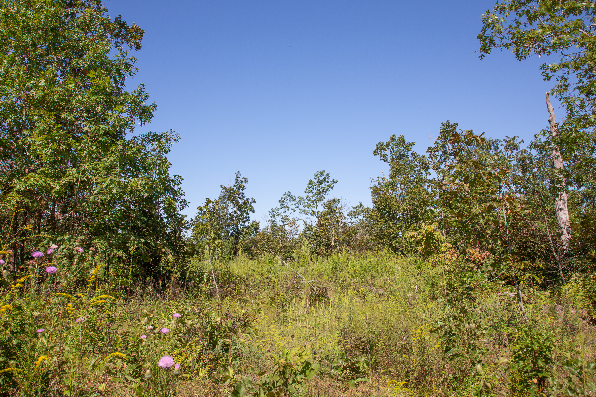 Tract 71 at Borgmanns Hollow Phase II in Shannon County, Missouri