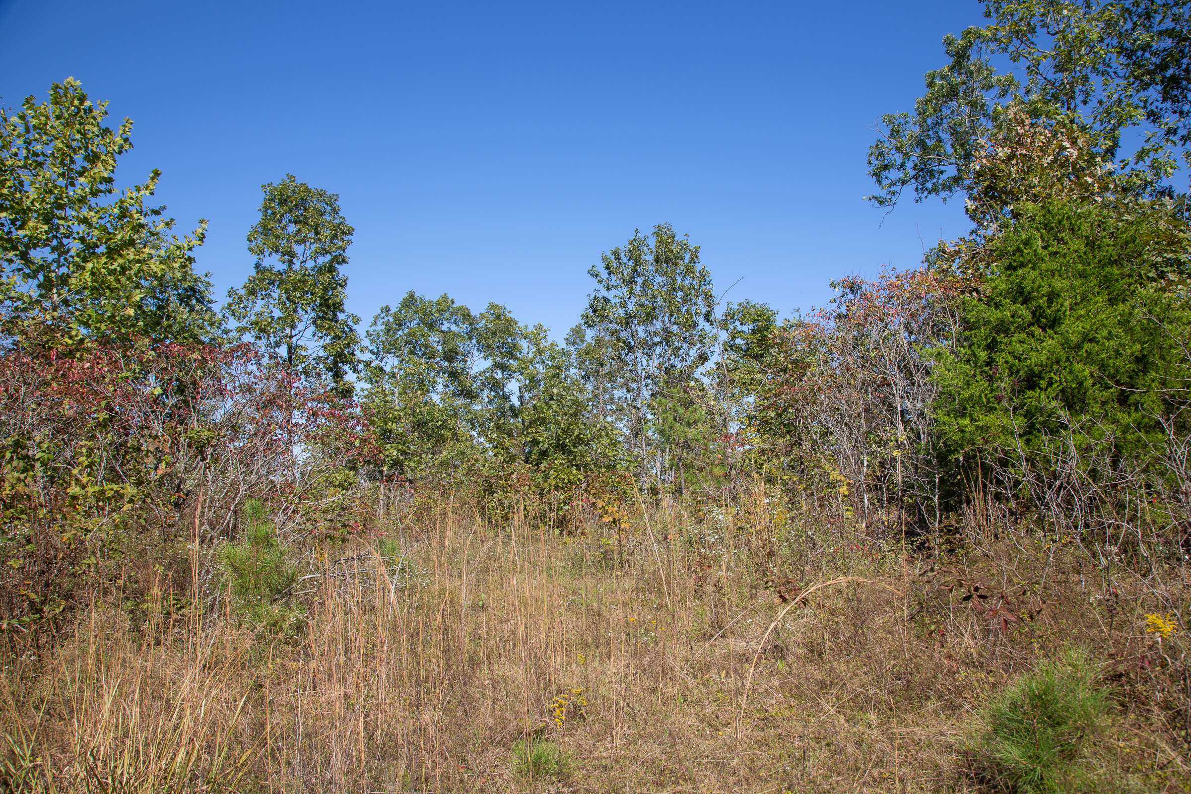 Tract 100 at Borgmanns Hollow Phase III in Shannon County, Missouri
