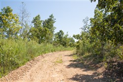 property photo for Borgmanns Hollow Phase III Tract 78, 8.39 acres for sale in Shannon County, Missouri