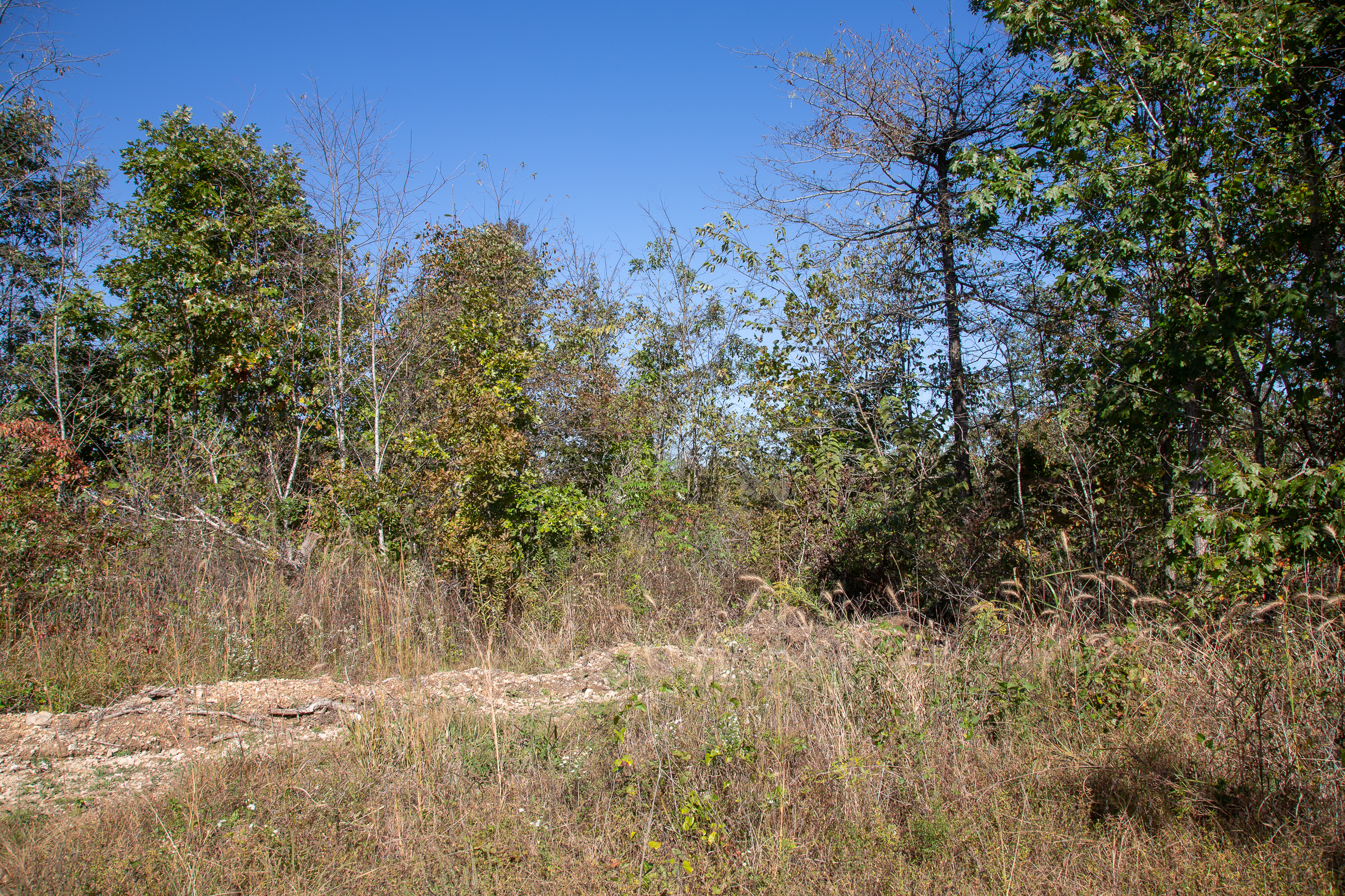 Tract 104 at Borgmanns Hollow Phase IV in Shannon County, Missouri
