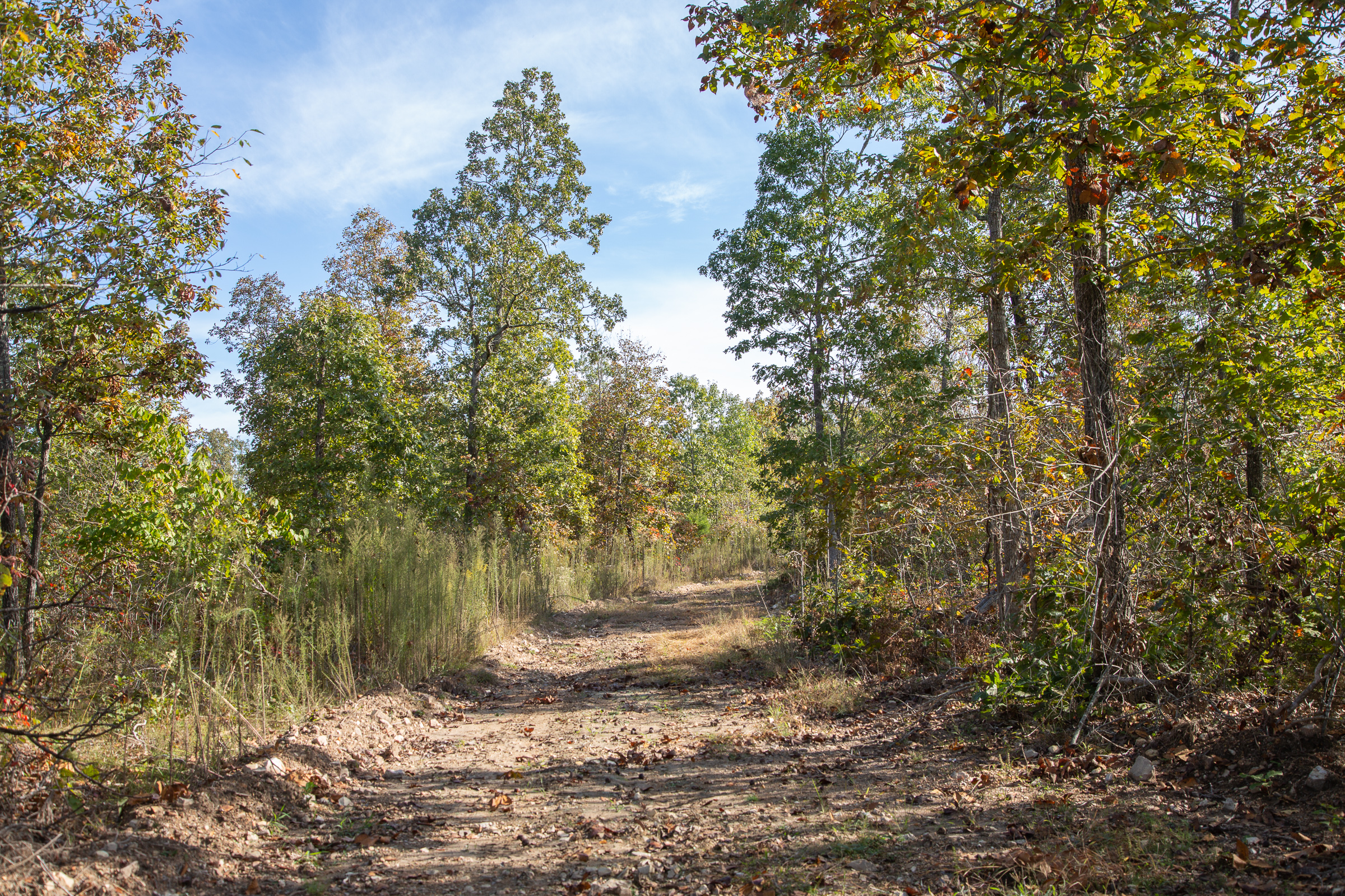 Tract 125 at Borgmanns Hollow Phase IV in Shannon County, Missouri