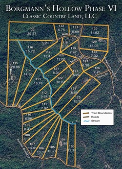 tract layout map for Borgmanns Hollow Phase IV Tract 133, 29.27 acres for sale in Shannon County, Missouri