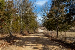 property photo for Forest Hill Tract 3, 7.78 acres for sale in Texas County, Missouri