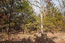 property photo for Forest Hill Tract 3, 7.78 acres for sale in Texas County, Missouri