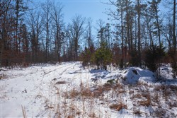 property photo for Sleepy Hollow Phase I Tract 53, 8.37 acres for sale in Texas County, Missouri