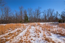 property photo for Sleepy Hollow Phase I Tract 53, 8.37 acres for sale in Texas County, Missouri