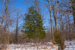 property photo for Sleepy Hollow Phase I Tract 53, 8.37 acres for sale in Texas County, Missouri