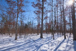 property photo for Sleepy Hollow Phase I Tract 53, 8.37 acres for sale in Texas County, Missouri