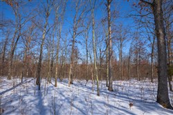 property photo for Sleepy Hollow Phase I Tract 53, 8.37 acres for sale in Texas County, Missouri