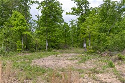 property photo for Sleepy Hollow Phase II Tract 67, 13.12 acres for sale in Texas County, Missouri