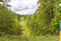 property photo for Sleepy Hollow Phase II Tract 67, 13.12 acres for sale in Texas County, Missouri
