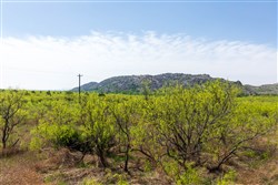 property photo for Hackberry Fields Tract 19, 4.04 acres for sale in Greer County, Oklahoma