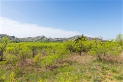 property photo for Hackberry Fields Tract 19, 4.04 acres for sale in Greer County, Oklahoma