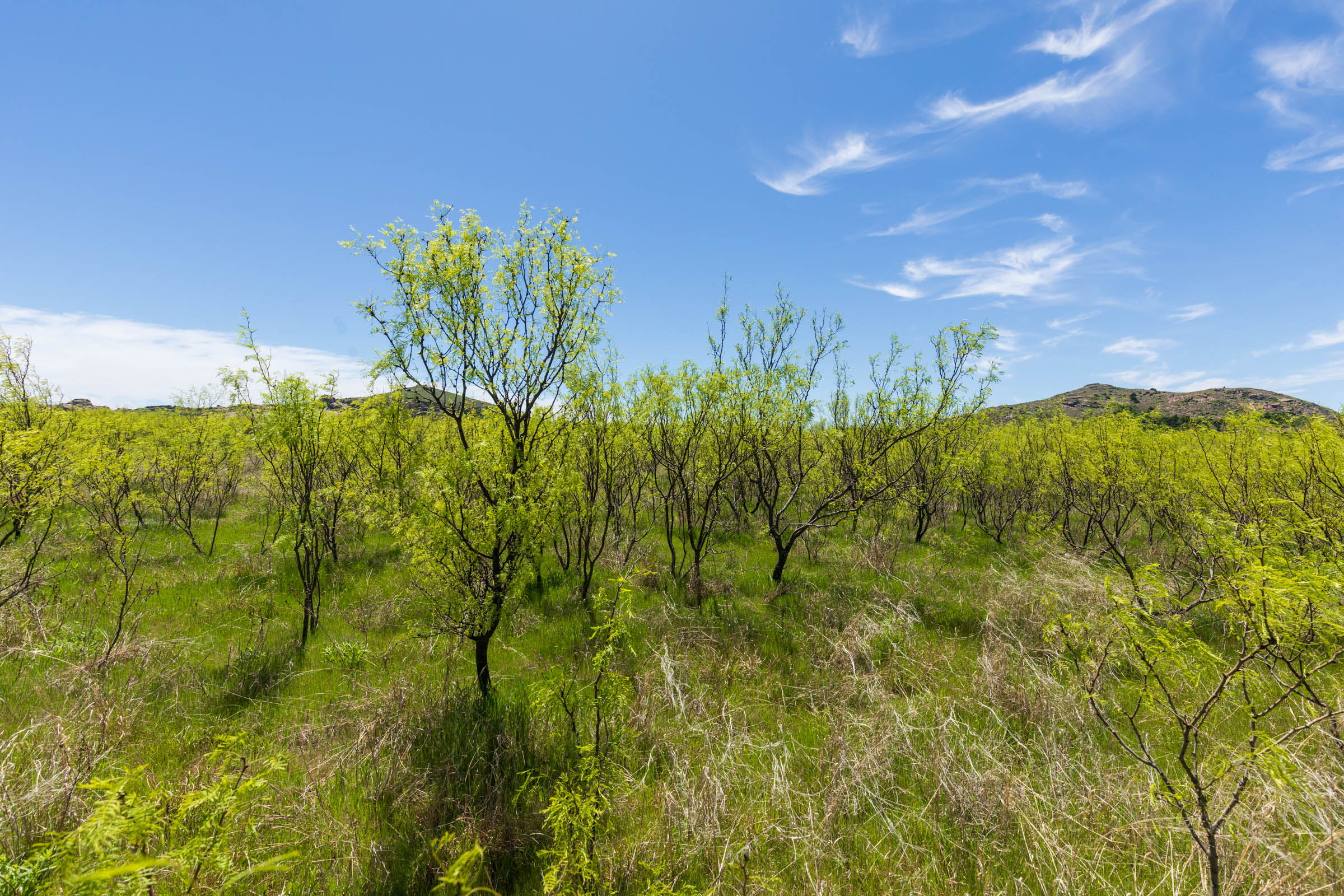 Tract 2 at Hackberry Fields in Greer County, Oklahoma
