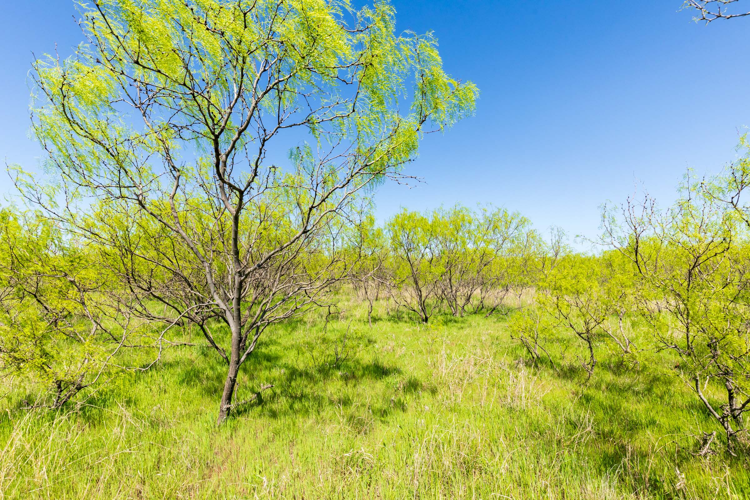 Tract 23 at Hackberry Fields in Greer County, Oklahoma