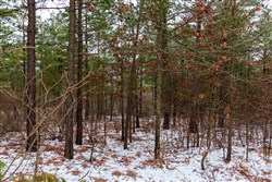 property photo for Stone Bridge Phase IV Tract 254, 5.97 acres for sale in LatimerHaskell County, Oklahoma