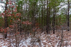 property photo for Stone Bridge Phase IV Tract 254, 5.97 acres for sale in LatimerHaskell County, Oklahoma