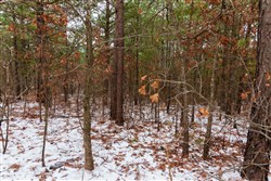 property photo for Stone Bridge Phase IV Tract 254, 5.97 acres for sale in LatimerHaskell County, Oklahoma