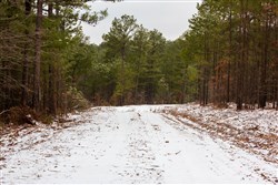 property photo for Stone Bridge Phase IV Tract 254, 5.97 acres for sale in LatimerHaskell County, Oklahoma