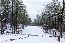 property photo for Stone Bridge Phase IV Tract 299, 10.08 acres for sale in LatimerHaskell County, Oklahoma