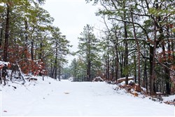 property photo for Stone Bridge Phase IV Tract 299, 10.08 acres for sale in LatimerHaskell County, Oklahoma