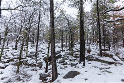 property photo for Stone Bridge Phase IV Tract 299, 10.08 acres for sale in LatimerHaskell County, Oklahoma
