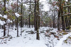 property photo for Stone Bridge Phase IV Tract 299, 10.08 acres for sale in LatimerHaskell County, Oklahoma