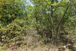 property photo for Stone Bridge Phase V Tract 376, 6.94 acres for sale in LatimerHaskell County, Oklahoma