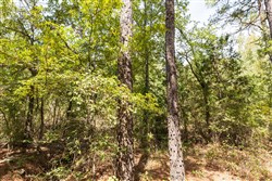 property photo for Stone Bridge Phase V Tract 376, 6.94 acres for sale in LatimerHaskell County, Oklahoma