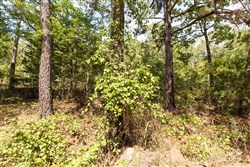 property photo for Stone Bridge Phase V Tract 376, 6.94 acres for sale in LatimerHaskell County, Oklahoma