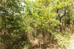 property photo for Stone Bridge Phase V Tract 376, 6.94 acres for sale in LatimerHaskell County, Oklahoma