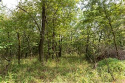property photo for Stone Bridge Phase V Tract 408, 4.75 acres for sale in LatimerHaskell County, Oklahoma