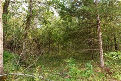 property photo for Stone Bridge Phase V Tract 408, 4.75 acres for sale in LatimerHaskell County, Oklahoma