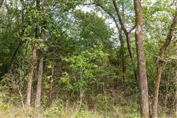 property photo for Stone Bridge Phase V Tract 408, 4.75 acres for sale in LatimerHaskell County, Oklahoma