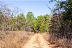 property photo for Stone Bridge Reserve Tract 30, 7.13 acres for sale in LatimerHaskell County, Oklahoma