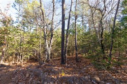 property photo for Stone Bridge Phase II Tract 123, 23.24 acres for sale in LatimerHaskell County, Oklahoma