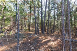 property photo for Stone Bridge Phase II Tract 123, 23.24 acres for sale in LatimerHaskell County, Oklahoma
