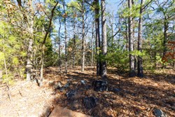 property photo for Stone Bridge Phase II Tract 123, 23.24 acres for sale in LatimerHaskell County, Oklahoma