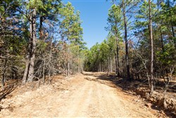 property photo for Stone Bridge Phase II Tract 124, 36.9 acres for sale in LatimerHaskell County, Oklahoma