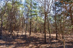 property photo for Stone Bridge Phase II Tract 124, 36.9 acres for sale in LatimerHaskell County, Oklahoma