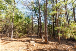 property photo for Stone Bridge Phase II Tract 124, 36.9 acres for sale in LatimerHaskell County, Oklahoma