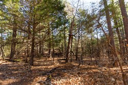 property photo for Stone Bridge Phase II Tract 124, 36.9 acres for sale in LatimerHaskell County, Oklahoma