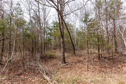 property photo for Stone Bridge Phase III Tract 150, 5.07 acres for sale in LatimerHaskell County, Oklahoma