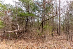 property photo for Stone Bridge Phase III Tract 150, 5.07 acres for sale in LatimerHaskell County, Oklahoma