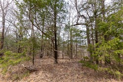 property photo for Stone Bridge Phase III Tract 150, 5.07 acres for sale in LatimerHaskell County, Oklahoma