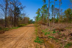 property photo for Stone Creek Phase II Tract 251, 16.8 acres for sale in Latimer County, Oklahoma